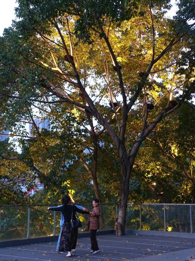 五天四晚带父母旅行经典方案附靠谱导游！麻将胡了2模拟器试玩国庆节川渝当地团