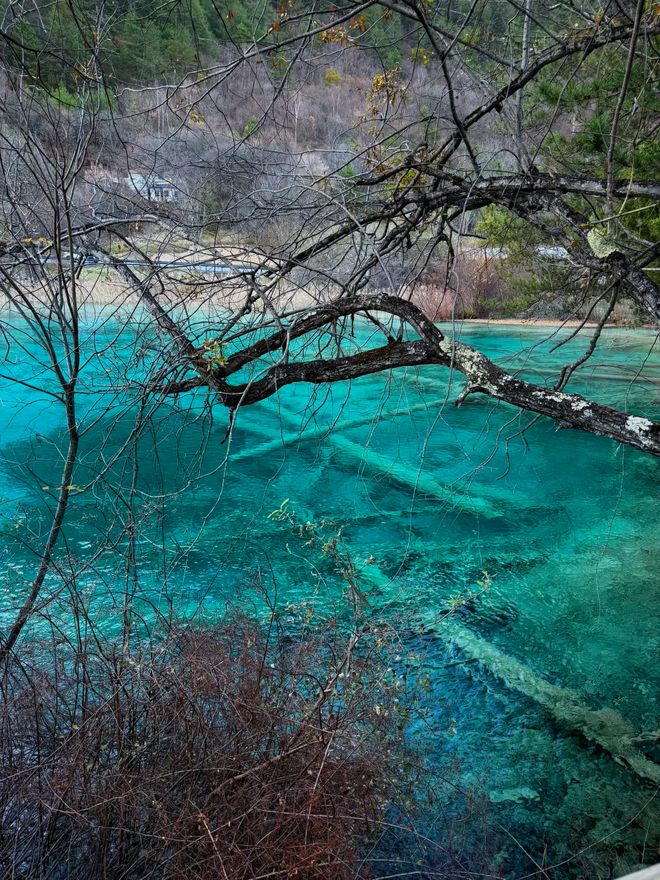 5天4晚人均需要多少预算第一次去必看攻略麻将胡了试玩模拟器从山东去四川黄龙旅游(图2) 5天4晚人均需要多少预算第一次去必看攻略麻将胡了试玩模拟器从山东去四川黄龙旅游(图2)