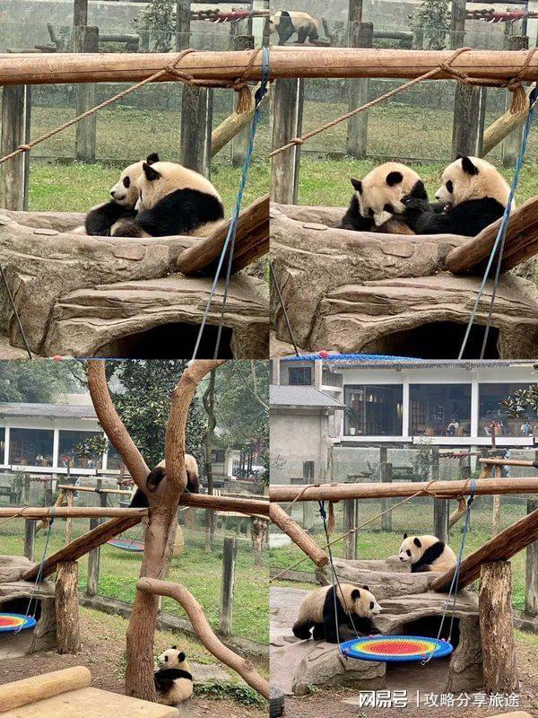 较好 重庆六日游路线推荐这篇攻略告诉你PG麻将胡了网站入口什么时候重庆旅游比(图2)