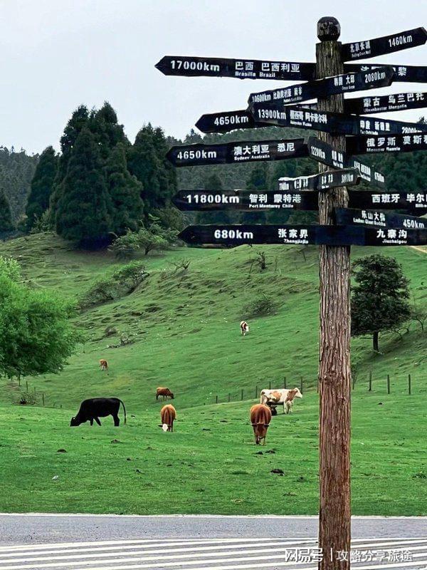 较好 重庆六日游路线推荐这篇攻略告诉你PG麻将胡了网站入口什么时候重庆旅游比(图5)